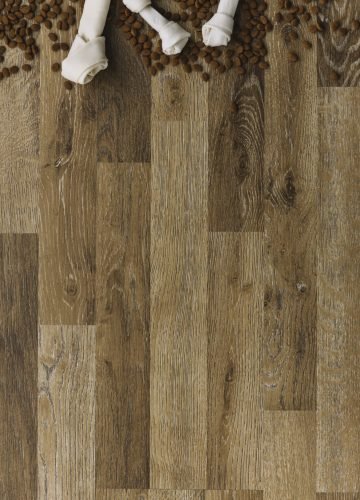 lovely-pets-composition-with-dog-food