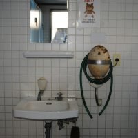 t-penguin-hP2vsXCDCCg-unsplash